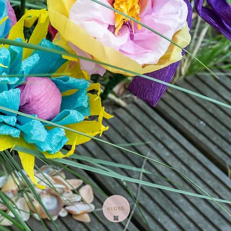 Picarde By Bloss Gelijkvloers Met Tuin En 50m Met Garage Knokke-Heist